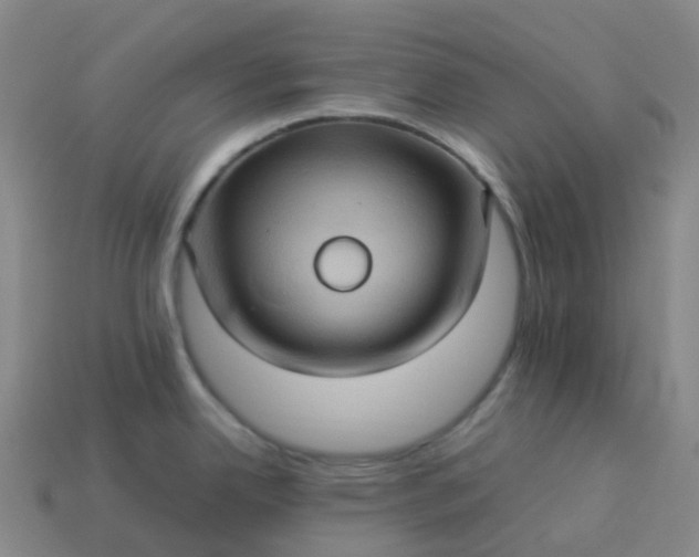 X0000114091342200910191555