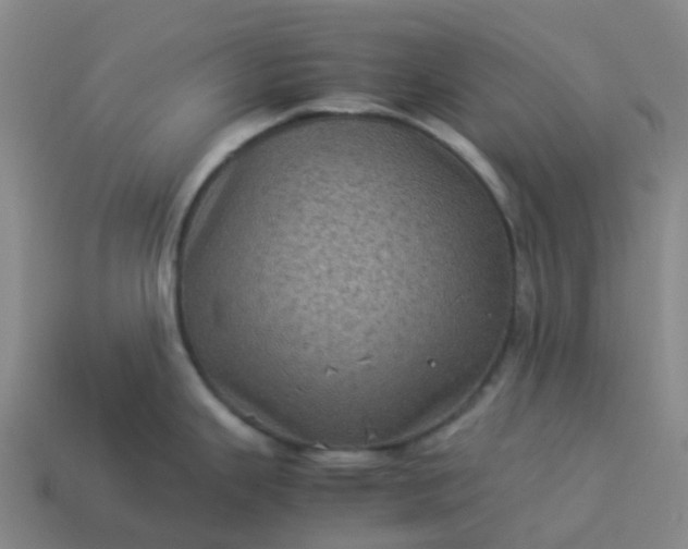 X0000114091343200910191555