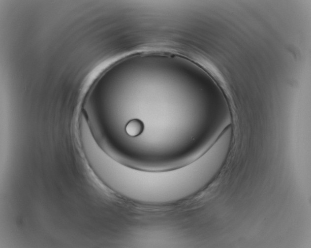 X0000114091344200910191555
