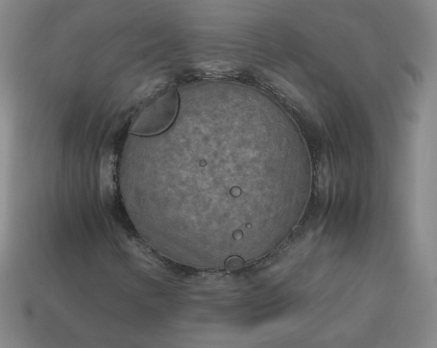 X0000114091346200910191554