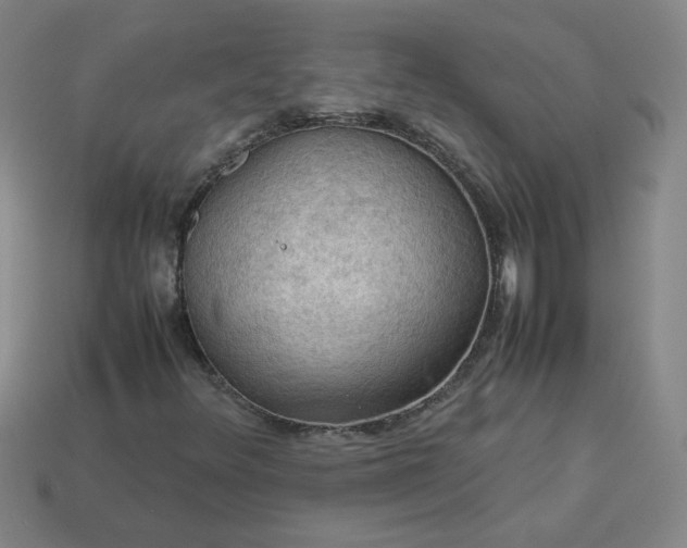 X0000114091348200910191554