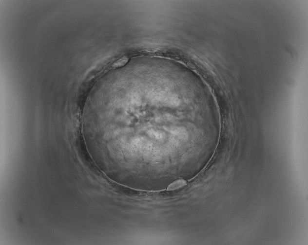 X0000114091349200910191554