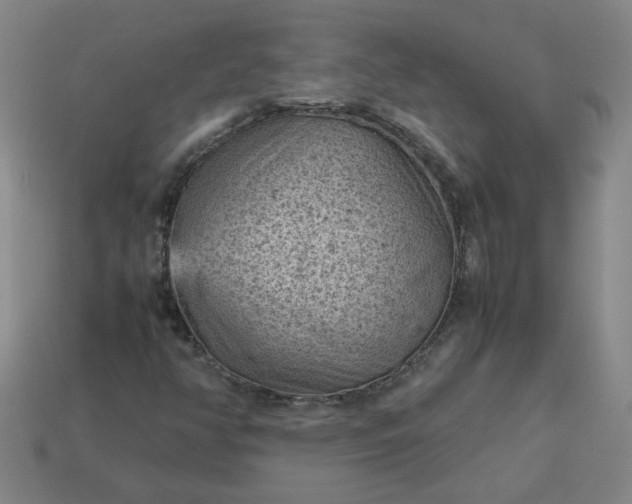 X0000114091350200910191554