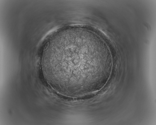 X0000114091351200910191554