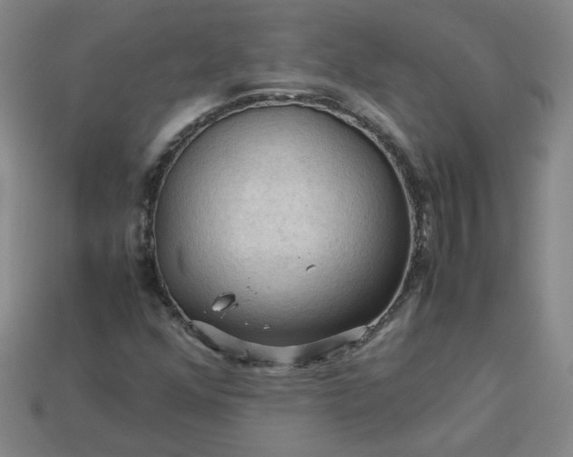 X0000114091352200910191554