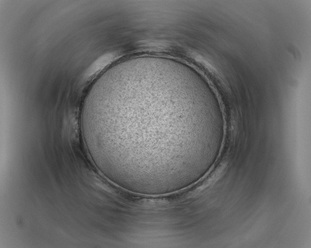 X0000114091354200910191554