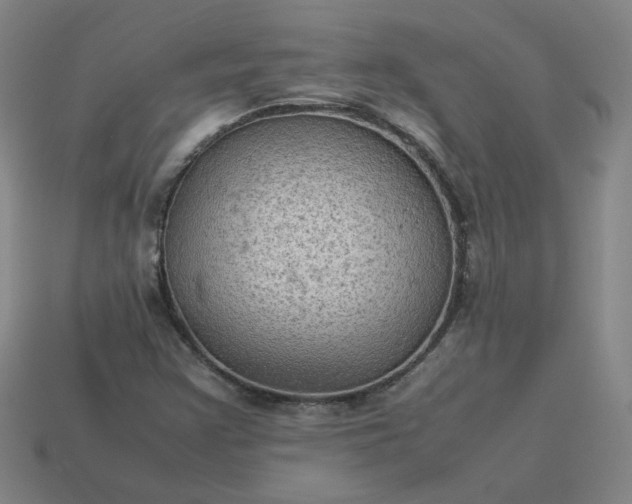 X0000114091355200910191554