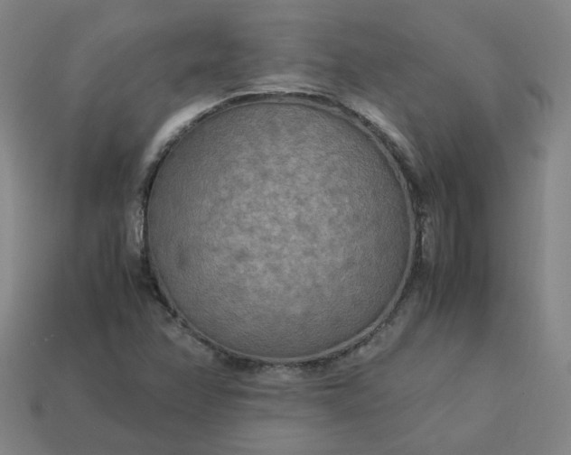X0000114091358200910191554