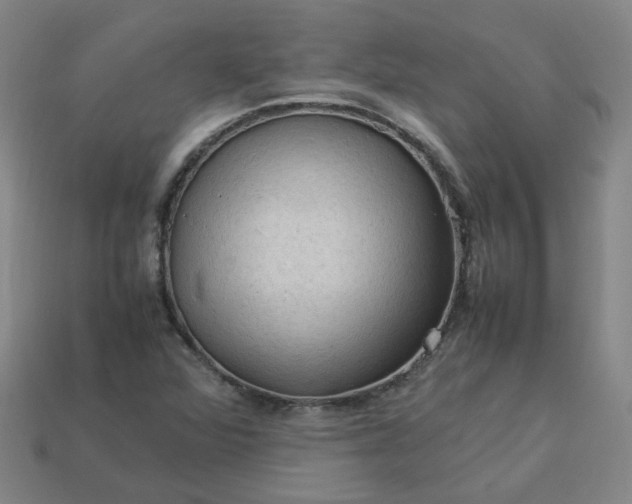 X0000114091360200910191554