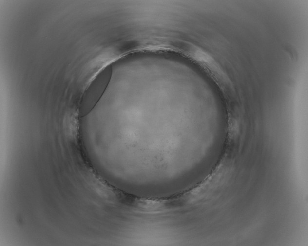 X0000114091361200910191554