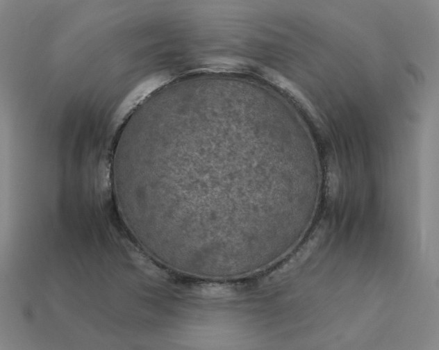 X0000114091362200910191554