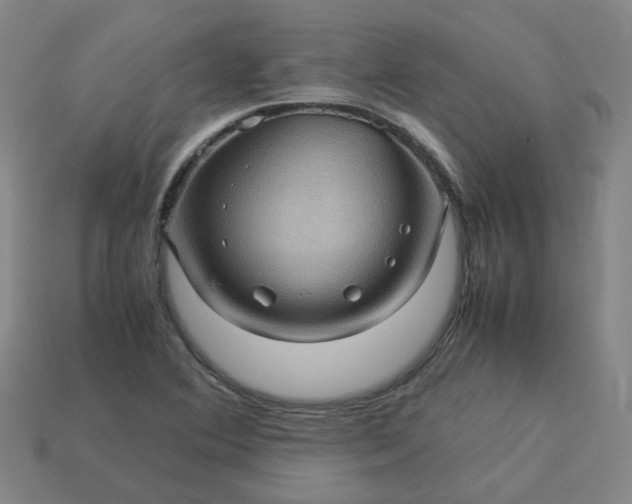 X0000114091364200910191554