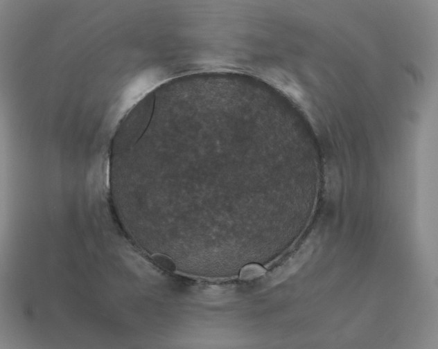 X0000114091365200910191554