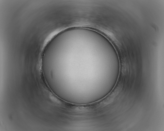 X0000114091366200910191554