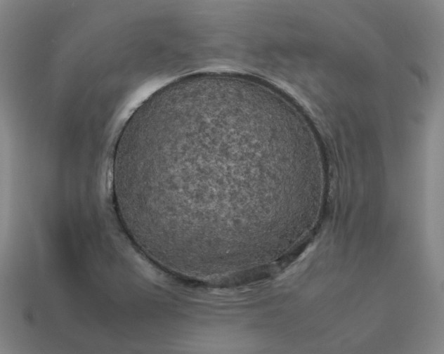 X0000114091367200910191554