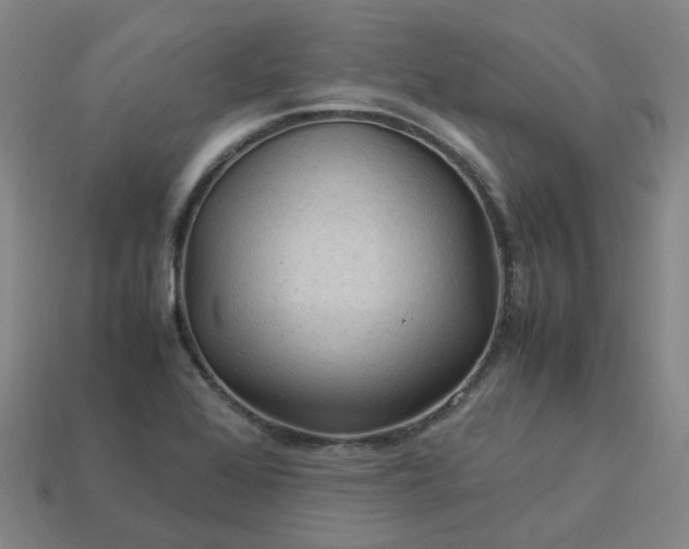 X0000114091368200910191554
