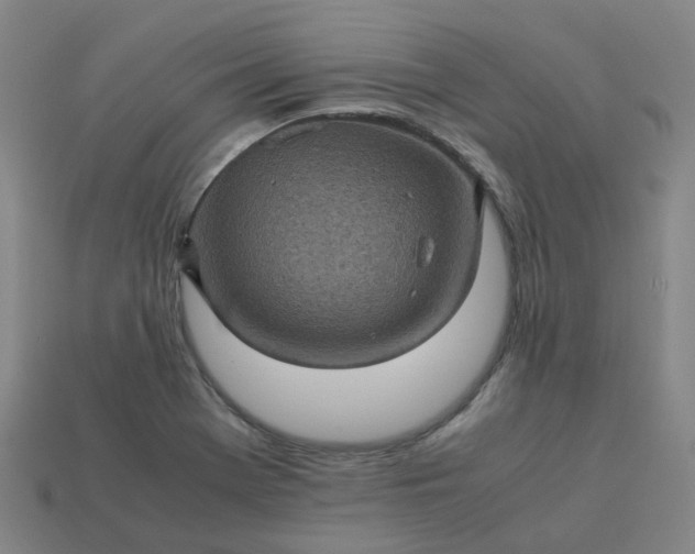 X0000114091369200910191554