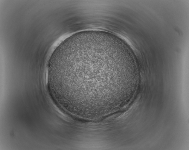 X0000114091371200910191554