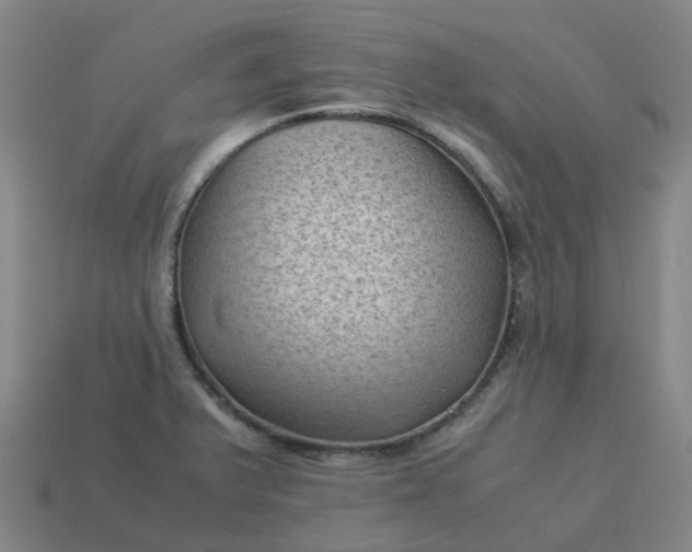 X0000114091375200910191554