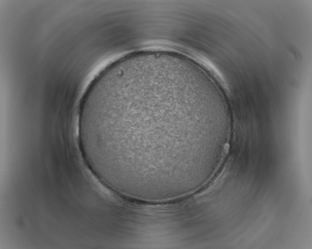 X0000114091376200910191554