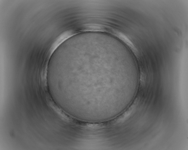 X0000114091378200910191554