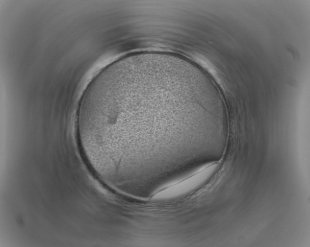 X0000114091379200910191554