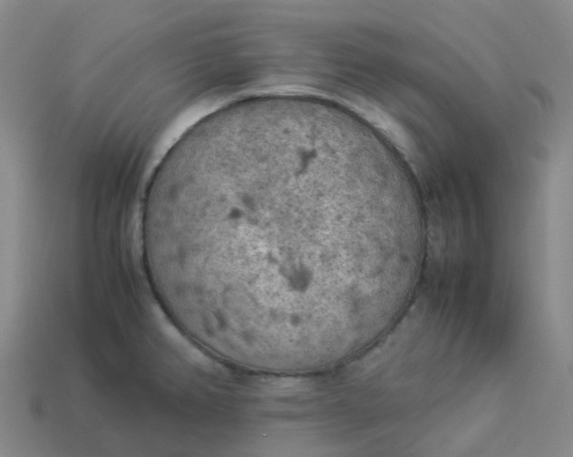 X0000114091382200910191554