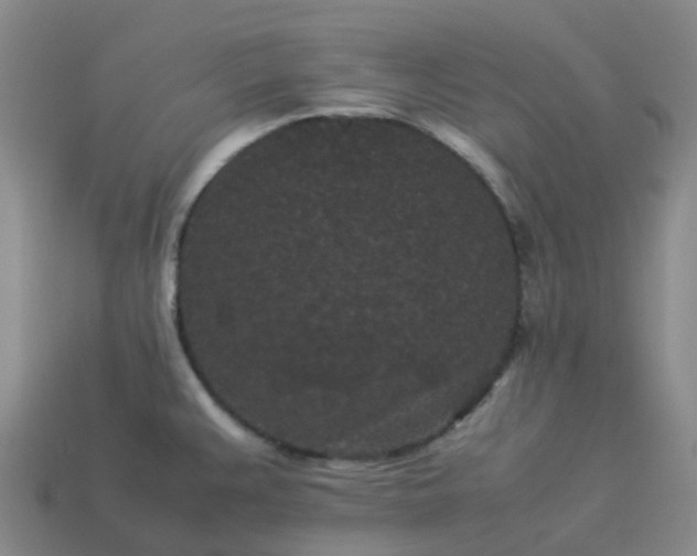 X0000114091383200910191554