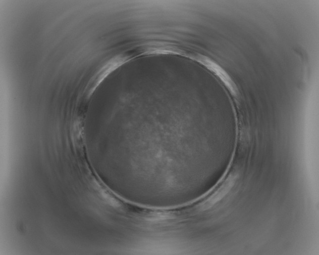 X0000114091385200910191554
