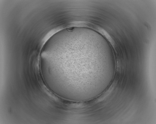 X0000114091386200910191554
