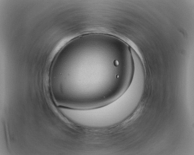 X0000114091389200910191554