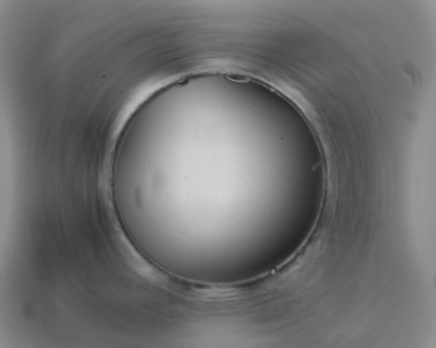 X0000114091392200910191554