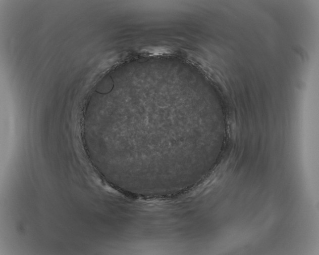 X0000114091393200910191553