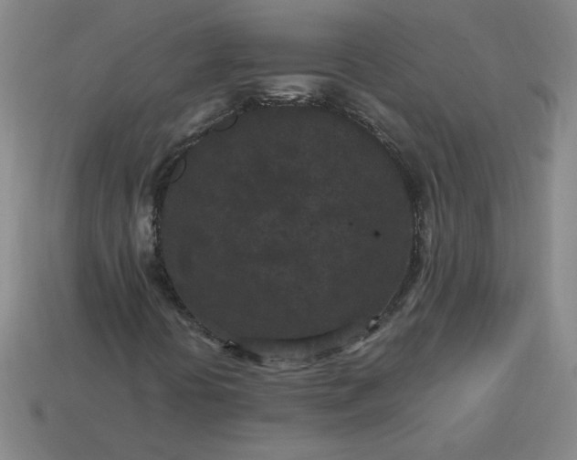 X0000114091394200910191553