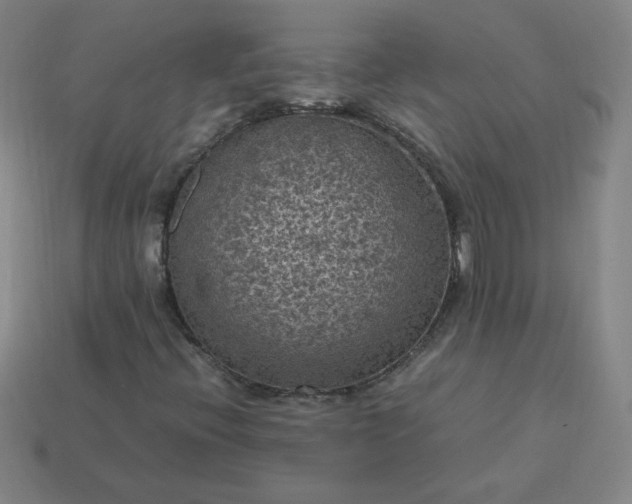 X0000114091396200910191553