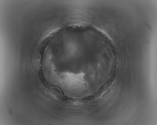 X0000114091399200910191553