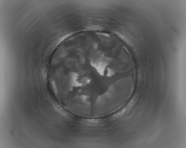 X0000114091401200910191553