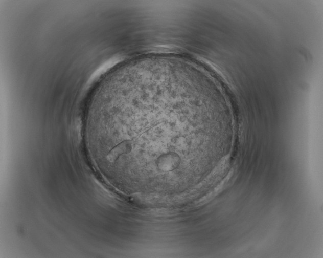 X0000114091402200910191553