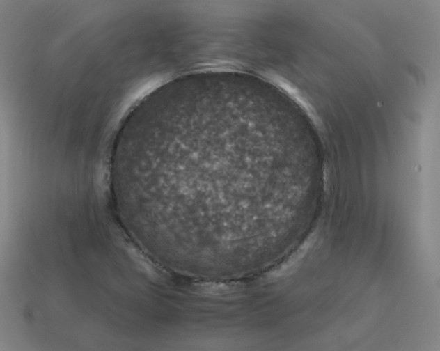 X0000114091405200910191553