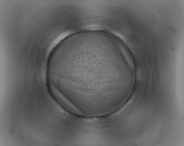 X0000114091410200910191553
