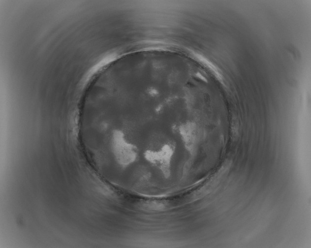 X0000114091411200910191553