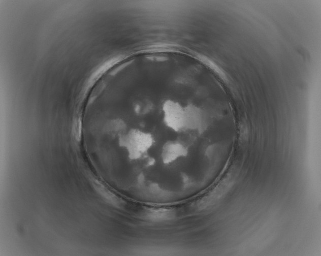 X0000114091413200910191553