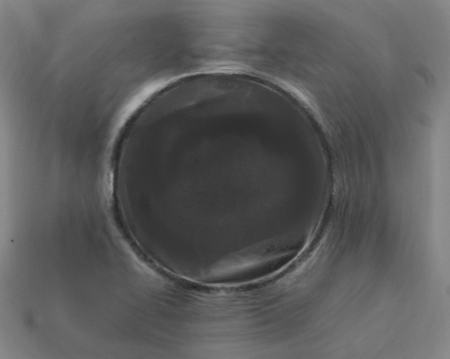 X0000114091414200910191553