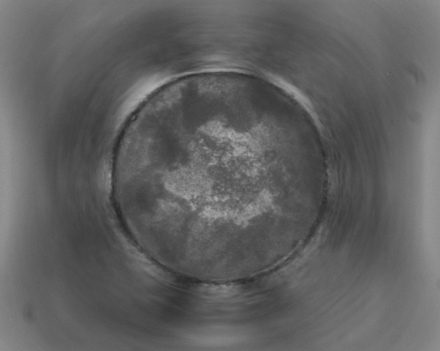 X0000114091415200910191553