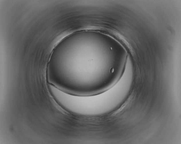 X0000114091417200910191553