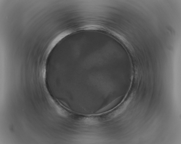 X0000114091418200910191553