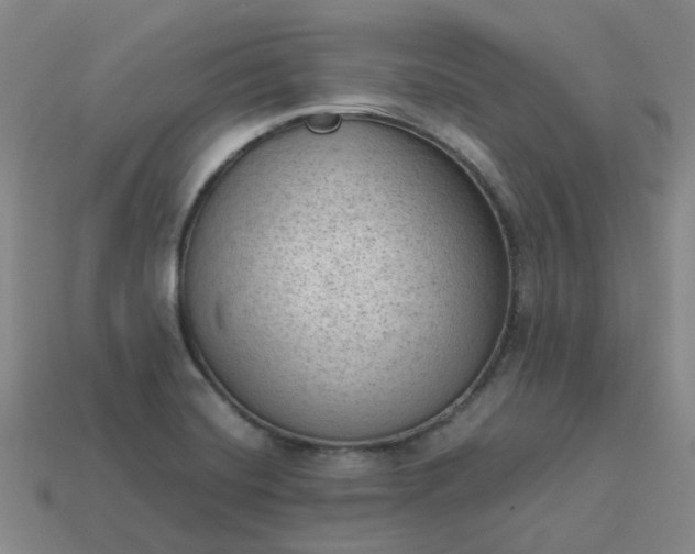 X0000114091420200910191553