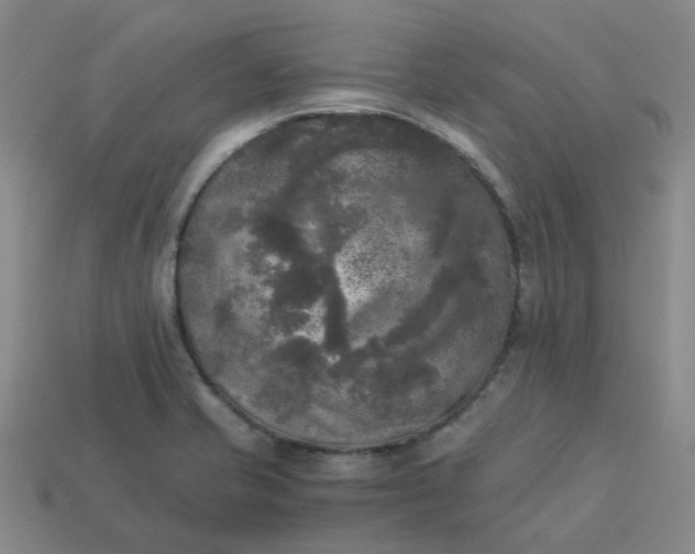 X0000114091421200910191553