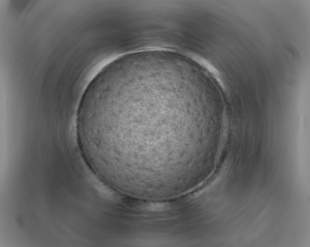 X0000114091423200910191553