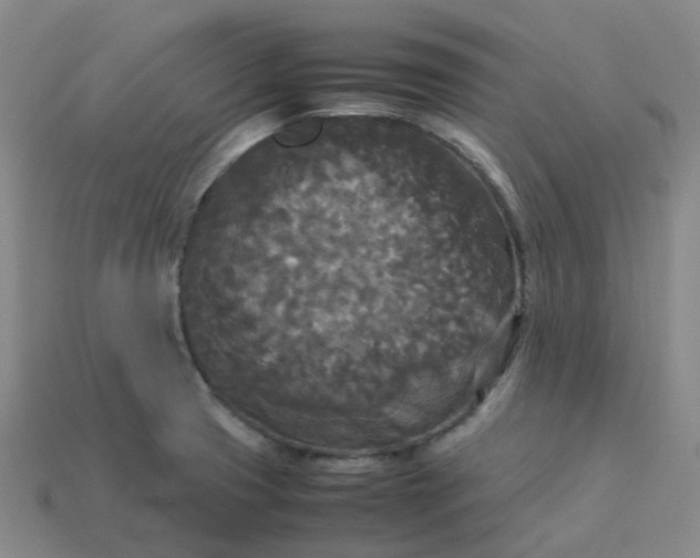 X0000114091425200910191553